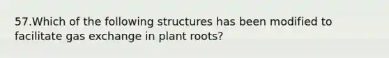 57.Which of the following structures has been modified to facilitate gas exchange in plant roots?