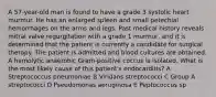 A 57-year-old man is found to have a grade 3 systolic heart murmur. He has an enlarged spleen and small petechial hemorrhages on the arms and legs. Past medical history reveals mitral valve regurgitation with a grade 1 murmur, and it is determined that the patient is currently a candidate for surgical therapy. The patient is admitted and blood cultures are obtained. A hemolytic anaerobic Gram-positive coccus is isolated. What is the most likely cause of this patient's endocarditis? A Streptococcus pneumoniae B Viridans streptococci C Group A streptococci D Pseudomonas aeruginosa E Peptococcus sp