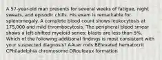 A 57-year-old man presents for several weeks of fatigue, night sweats, and episodic chills. His exam is remarkable for splenomegaly. A complete blood count shows leukocytosis at 175,000 and mild thrombocytosis. The peripheral blood smear shows a left-shifted myeloid series; blasts are less than 5%. Which of the following additional findings is most consistent with your suspected diagnosis? AAuer rods BElevated hematocrit CPhiladelphia chromosome DRouleaux formation