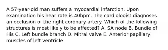 A 57-year-old man suffers a myocardial infarction. Upon examination his hear rate is 40bpm. The cardiologist diagnoses an occlusion of the right coronary artery. Which of the following structures is most likely to be affected? A. SA node B. Bundle of His C. Left bundle branch D. Mitral valve E. Anterior papillary muscles of left ventricle