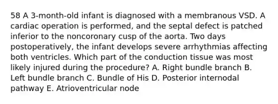 58 A 3-month-old infant is diagnosed with a membranous VSD. A cardiac operation is performed, and the septal defect is patched inferior to the noncoronary cusp of the aorta. Two days postoperatively, the infant develops severe arrhythmias affecting both ventricles. Which part of the conduction tissue was most likely injured during the procedure? A. Right bundle branch B. Left bundle branch C. Bundle of His D. Posterior internodal pathway E. Atrioventricular node