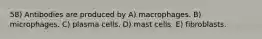 58) Antibodies are produced by A) macrophages. B) microphages. C) plasma cells. D) mast cells. E) fibroblasts.