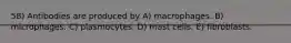 58) Antibodies are produced by A) macrophages. B) microphages. C) plasmocytes. D) mast cells. E) fibroblasts.