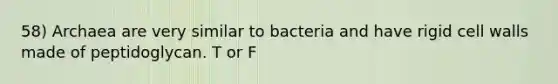 58) Archaea are very similar to bacteria and have rigid cell walls made of peptidoglycan. T or F