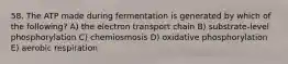 58. The ATP made during fermentation is generated by which of the following? A) the electron transport chain B) substrate-level phosphorylation C) chemiosmosis D) oxidative phosphorylation E) aerobic respiration