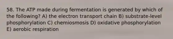 58. The ATP made during fermentation is generated by which of the following? A) <a href='https://www.questionai.com/knowledge/k57oGBr0HP-the-electron-transport-chain' class='anchor-knowledge'>the electron transport chain</a> B) substrate-level phosphorylation C) chemiosmosis D) <a href='https://www.questionai.com/knowledge/kFazUb9IwO-oxidative-phosphorylation' class='anchor-knowledge'>oxidative phosphorylation</a> E) aerobic respiration