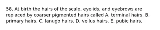 58. At birth the hairs of the scalp, eyelids, and eyebrows are replaced by coarser pigmented hairs called A. terminal hairs. B. primary hairs. C. lanugo hairs. D. vellus hairs. E. pubic hairs.