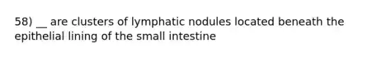 58) __ are clusters of lymphatic nodules located beneath the epithelial lining of the small intestine