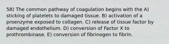 58) The common pathway of coagulation begins with the A) sticking of platelets to damaged tissue. B) activation of a proenzyme exposed to collagen. C) release of tissue factor by damaged endothelium. D) conversion of Factor X to prothrombinase. E) conversion of fibrinogen to fibrin.