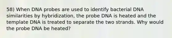 58) When DNA probes are used to identify bacterial DNA similarities by hybridization, the probe DNA is heated and the template DNA is treated to separate the two strands. Why would the probe DNA be heated?