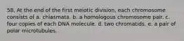 58. At the end of the first meiotic division, each chromosome consists of a. chiasmata. b. a homologous chromosome pair. c. four copies of each DNA molecule. d. two chromatids. e. a pair of polar microtubules.