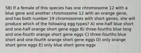 58) If a female of this species has one chromosome 12 with a blue gene and another chromosome 12 with an orange gene, and has both number 19 chromosomes with short genes, she will produce which of the following egg types? A) one-half blue short and one-half orange short gene eggs B) three-fourths blue long and one-fourth orange short gene eggs C) three-fourths blue short and one-fourth orange short gene eggs D) only orange short gene eggs E) only blue short gene eggs