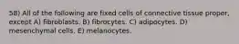 58) All of the following are fixed cells of connective tissue proper, except A) fibroblasts. B) fibrocytes. C) adipocytes. D) mesenchymal cells. E) melanocytes.