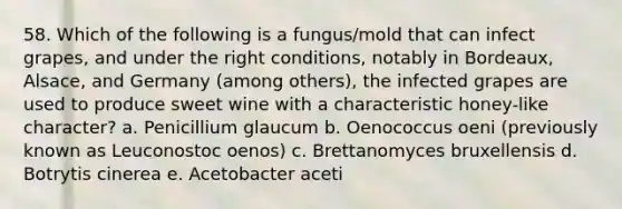 58. Which of the following is a fungus/mold that can infect grapes, and under the right conditions, notably in Bordeaux, Alsace, and Germany (among others), the infected grapes are used to produce sweet wine with a characteristic honey-like character? a. Penicillium glaucum b. Oenococcus oeni (previously known as Leuconostoc oenos) c. Brettanomyces bruxellensis d. Botrytis cinerea e. Acetobacter aceti