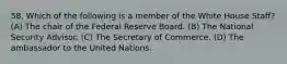 58. Which of the following is a member of the White House Staff? (A) The chair of the Federal Reserve Board. (B) The National Security Advisor. (C) The Secretary of Commerce. (D) The ambassador to the United Nations.