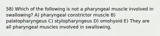 58) Which of the following is not a pharyngeal muscle involved in swallowing? A) pharyngeal constrictor muscle B) palatopharyngeus C) stylopharyngeus D) omohyoid E) They are all pharyngeal muscles involved in swallowing.