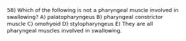 58) Which of the following is not a pharyngeal muscle involved in swallowing? A) palatopharyngeus B) pharyngeal constrictor muscle C) omohyoid D) stylopharyngeus E) They are all pharyngeal muscles involved in swallowing.