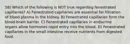 58) Which of the following is NOT true regarding fenestrated capillaries? A) Fenestrated capillaries are essential for filtration of blood plasma in the kidney. B) Fenestrated capillaries form the blood-brain barrier. C) Fenestrated capillaries in endocrine organs allow hormones rapid entry into the blood. D) Fenestrated capillaries in the small intestine receive nutrients from digested food.