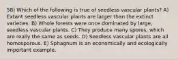 58) Which of the following is true of seedless vascular plants? A) Extant seedless vascular plants are larger than the extinct varieties. B) Whole forests were once dominated by large, seedless vascular plants. C) They produce many spores, which are really the same as seeds. D) Seedless vascular plants are all homosporous. E) Sphagnum is an economically and ecologically important example.