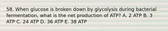 58. When glucose is broken down by glycolysis during bacterial fermentation, what is the net production of ATP? A. 2 ATP B. 3 ATP C. 24 ATP D. 36 ATP E. 38 ATP