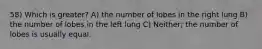 58) Which is greater? A) the number of lobes in the right lung B) the number of lobes in the left lung C) Neither; the number of lobes is usually equal.