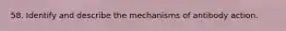 58. Identify and describe the mechanisms of antibody action.