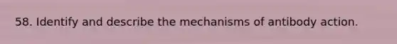 58. Identify and describe the mechanisms of antibody action.