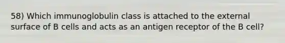 58) Which immunoglobulin class is attached to the external surface of B cells and acts as an antigen receptor of the B cell?