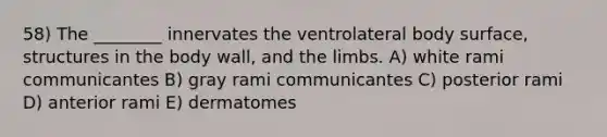 58) The ________ innervates the ventrolateral body surface, structures in the body wall, and the limbs. A) white rami communicantes B) gray rami communicantes C) posterior rami D) anterior rami E) dermatomes