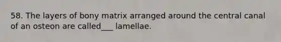 58. The layers of bony matrix arranged around the central canal of an osteon are called___ lamellae.