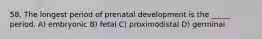 58. The longest period of prenatal development is the _____ period. A) embryonic B) fetal C) proximodistal D) germinal