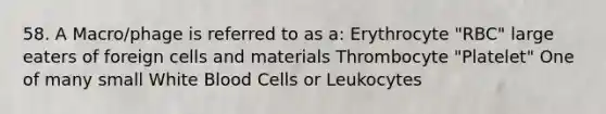 58. A Macro/phage is referred to as a: Erythrocyte "RBC" large eaters of foreign cells and materials Thrombocyte "Platelet" One of many small White Blood Cells or Leukocytes