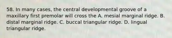 58. In many cases, the central developmental groove of a maxillary first premolar will cross the A. mesial marginal ridge. B. distal marginal ridge. C. buccal triangular ridge. D. lingual triangular ridge.