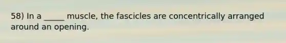 58) In a _____ muscle, the fascicles are concentrically arranged around an opening.