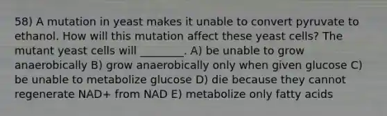 58) A mutation in yeast makes it unable to convert pyruvate to ethanol. How will this mutation affect these yeast cells? The mutant yeast cells will ________. A) be unable to grow anaerobically B) grow anaerobically only when given glucose C) be unable to metabolize glucose D) die because they cannot regenerate NAD+ from NAD E) metabolize only fatty acids