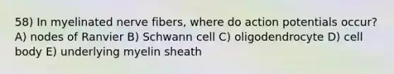 58) In myelinated nerve fibers, where do action potentials occur? A) nodes of Ranvier B) Schwann cell C) oligodendrocyte D) cell body E) underlying myelin sheath