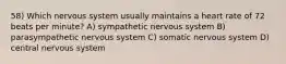 58) Which nervous system usually maintains a heart rate of 72 beats per minute? A) sympathetic nervous system B) parasympathetic nervous system C) somatic nervous system D) central nervous system