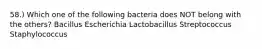 58.) Which one of the following bacteria does NOT belong with the others? Bacillus Escherichia Lactobacillus Streptococcus Staphylococcus