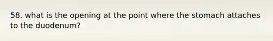 58. what is the opening at the point where the stomach attaches to the duodenum?