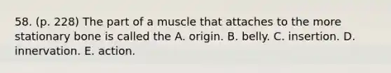 58. (p. 228) The part of a muscle that attaches to the more stationary bone is called the A. origin. B. belly. C. insertion. D. innervation. E. action.