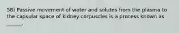 58) Passive movement of water and solutes from the plasma to the capsular space of kidney corpuscles is a process known as ______.