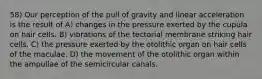 58) Our perception of the pull of gravity and linear acceleration is the result of A) changes in the pressure exerted by the cupula on hair cells. B) vibrations of the tectorial membrane striking hair cells. C) the pressure exerted by the otolithic organ on hair cells of the maculae. D) the movement of the otolithic organ within the ampullae of the semicircular canals.