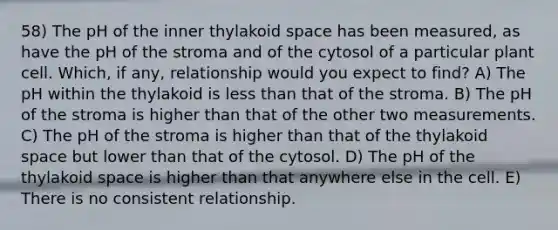 58) The pH of the inner thylakoid space has been measured, as have the pH of the stroma and of the cytosol of a particular plant cell. Which, if any, relationship would you expect to find? A) The pH within the thylakoid is less than that of the stroma. B) The pH of the stroma is higher than that of the other two measurements. C) The pH of the stroma is higher than that of the thylakoid space but lower than that of the cytosol. D) The pH of the thylakoid space is higher than that anywhere else in the cell. E) There is no consistent relationship.