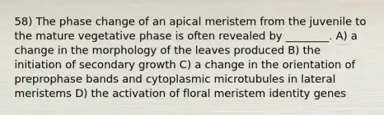 58) The phase change of an apical meristem from the juvenile to the mature vegetative phase is often revealed by ________. A) a change in the morphology of the leaves produced B) the initiation of secondary growth C) a change in the orientation of preprophase bands and cytoplasmic microtubules in lateral meristems D) the activation of floral meristem identity genes