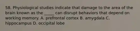 58. Physiological studies indicate that damage to the area of the brain known as the _____ can disrupt behaviors that depend on working memory. A. prefrontal cortex B. amygdala C. hippocampus D. occipital lobe