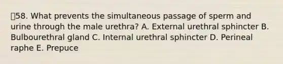 58. What prevents the simultaneous passage of sperm and urine through the male urethra? A. External urethral sphincter B. Bulbourethral gland C. Internal urethral sphincter D. Perineal raphe E. Prepuce