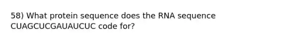 58) What protein sequence does the RNA sequence CUAGCUCGAUAUCUC code for?