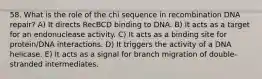 58. What is the role of the chi sequence in recombination DNA repair? A) It directs RecBCD binding to DNA. B) It acts as a target for an endonuclease activity. C) It acts as a binding site for protein/DNA interactions. D) It triggers the activity of a DNA helicase. E) It acts as a signal for branch migration of double-stranded intermediates.