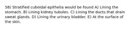 58) Stratified cuboidal epithelia would be found A) Lining the stomach. B) Lining kidney tubules. C) Lining the ducts that drain sweat glands. D) Lining the urinary bladder. E) At the surface of the skin.