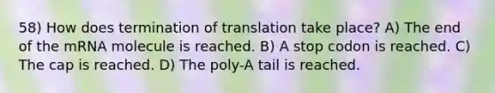 58) How does termination of translation take place? A) The end of the mRNA molecule is reached. B) A stop codon is reached. C) The cap is reached. D) The poly-A tail is reached.